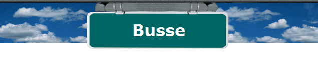 Busse