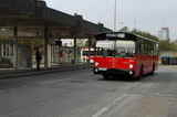 photo028553 photo028553