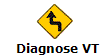 Diagnose VT
