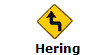 Hering