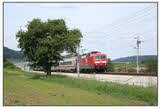 photo005403