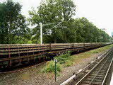 photo012882