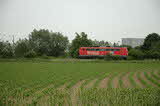 photo019194