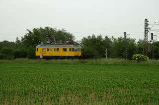 photo19204