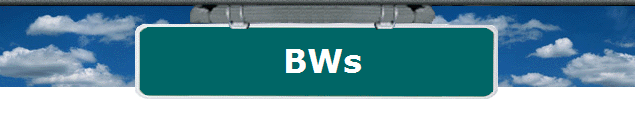 BWs