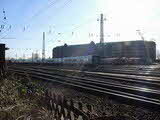 photo001537