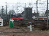 photo009489