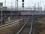 photo009533