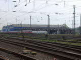 photo010933