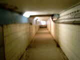 photo012541
