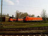photo012631