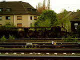 photo012773