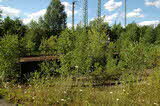 photo015870