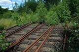 photo015873