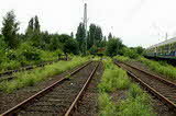 photo019295