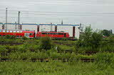 photo019305