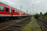photo019310