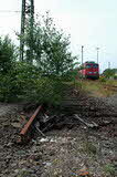 photo019603