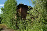 photo019619