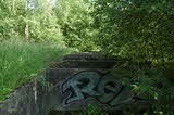 photo019621