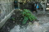 photo019622