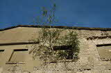 photo019624