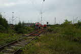 photo019636
