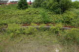 photo019641