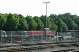 photo019783