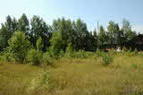 photo019886