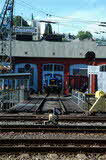photo020636