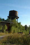 photo020737