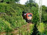 photo005374