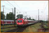 photo005406