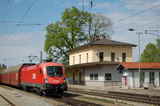 photo005705