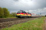 photo005706