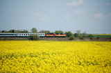 photo005707