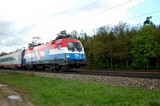 photo005709