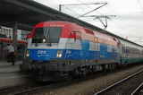 photo005730
