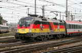 photo006344