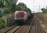 photo006347
