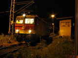 photo006386