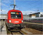 photo006393
