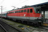 photo017485