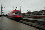 photo017585