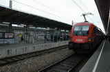 photo017606