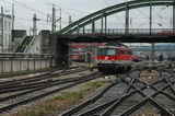 photo017781