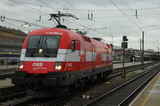 photo017804