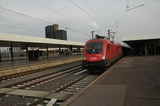 photo018016