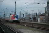 photo018228